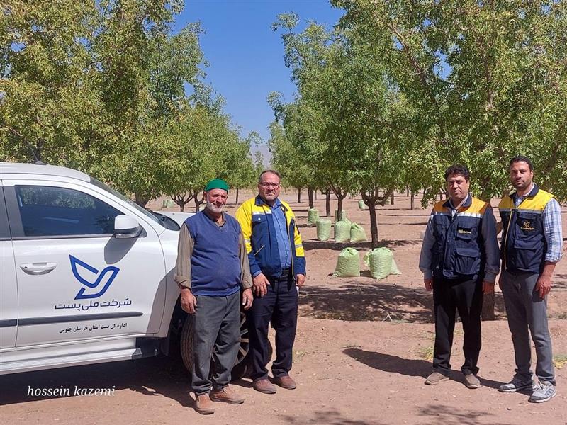 ارسال بیش از ۲۰ تن عناب خراسان جنوبی توسط شركت ملی پست